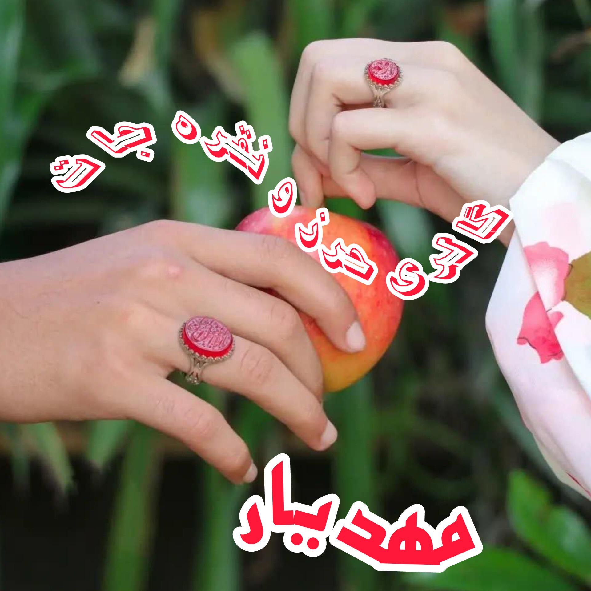 حرز و نقره جات مهدیار